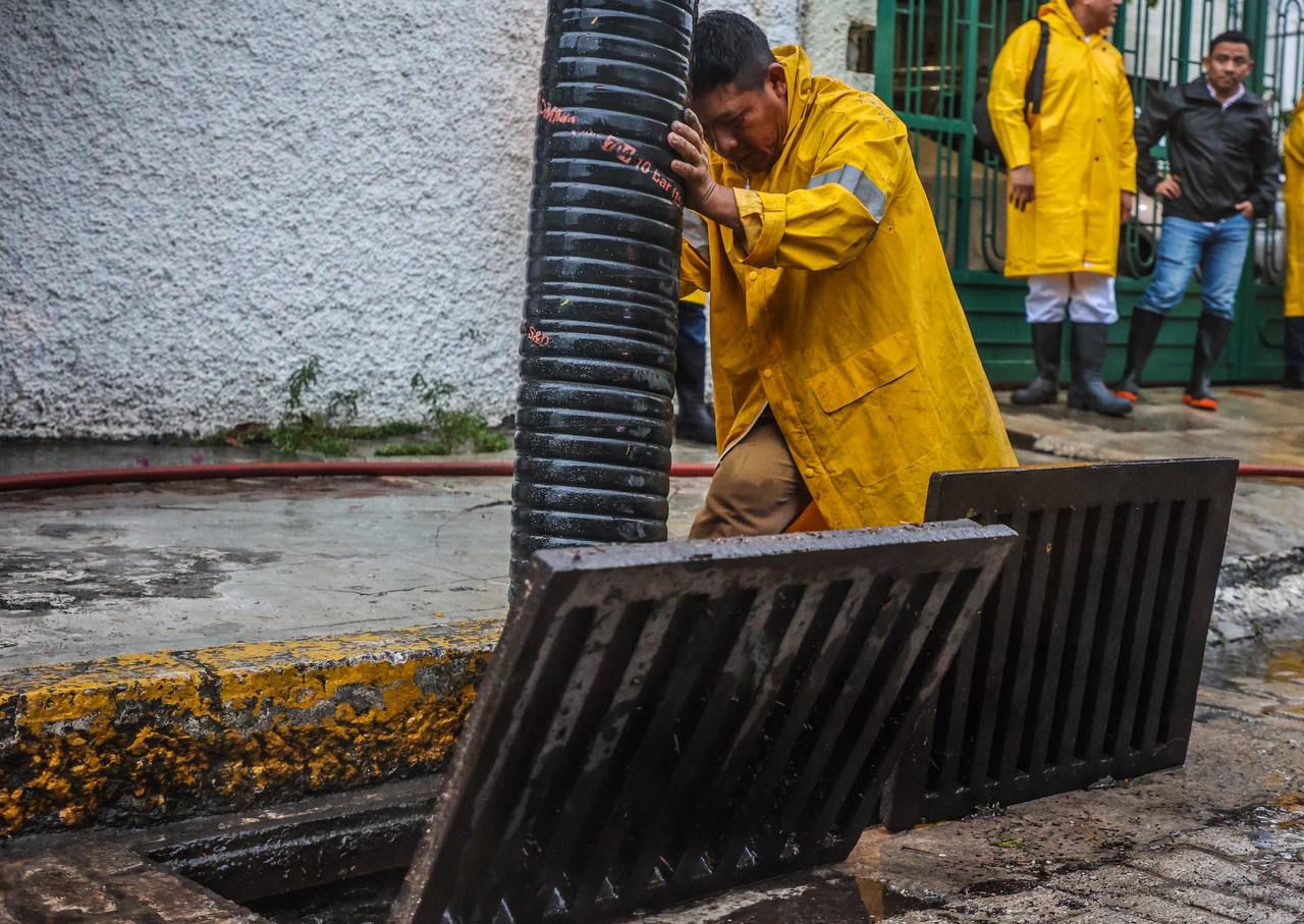 uploads/6/32/01 (2361).Jpeg